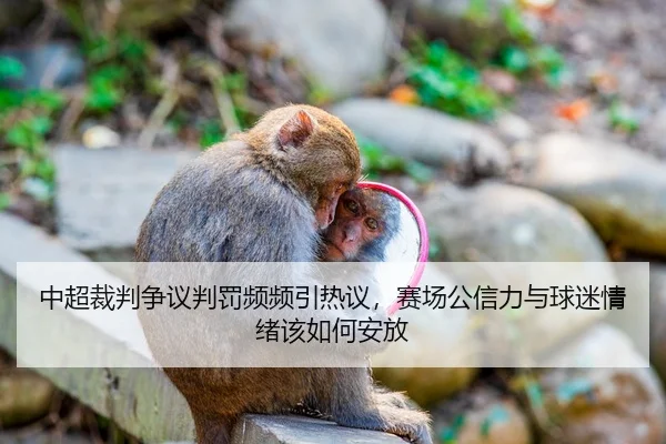 中超裁判争议判罚频频引热议，赛场公信力与球迷情绪该如何安放